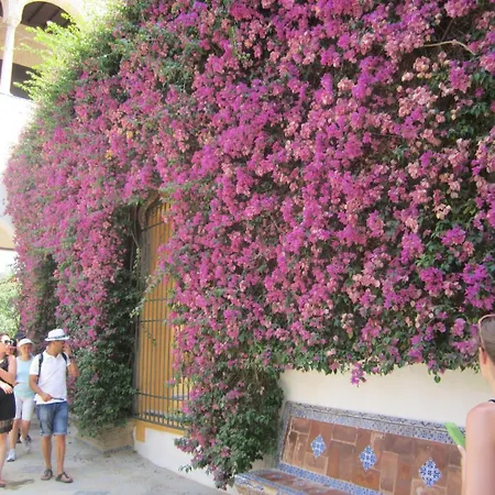 Sunny 2 Bed Spacious Tavira