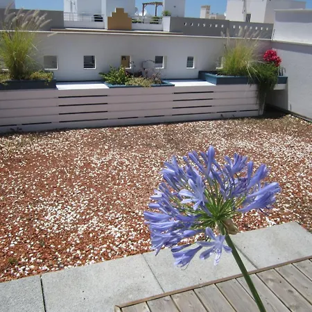 Sunny 2 Bed Spacious アパート タヴィラ